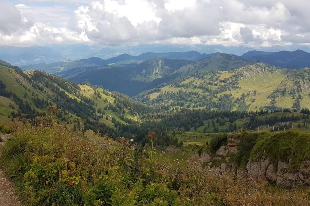 Fewo Allgaeuliebe Mit Wlan Oberstaufen Steibis Exterior foto